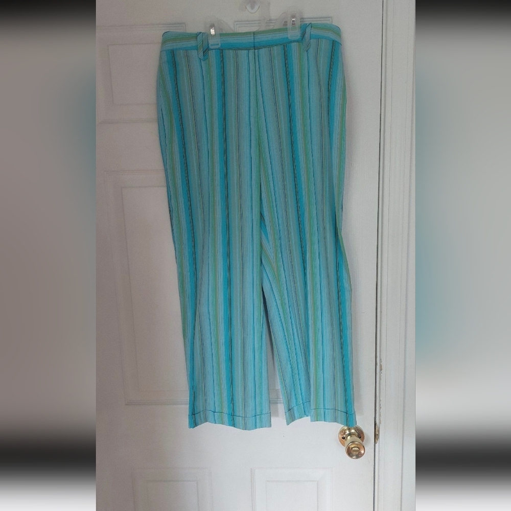 Eric NEW YORK Cotton LAGOON Size 1O  Colorful Vertical Striped Stretch Pants $98
